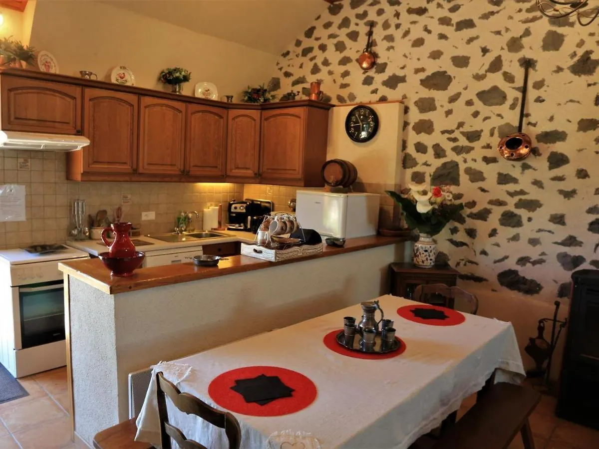 Gite Au Calme Avec Terrasse, Jardin, Cheminee, Proche De Salers Et Piste De Ski - Fr-1-742-41 Anglards-de-Salers Vakantiehuis
