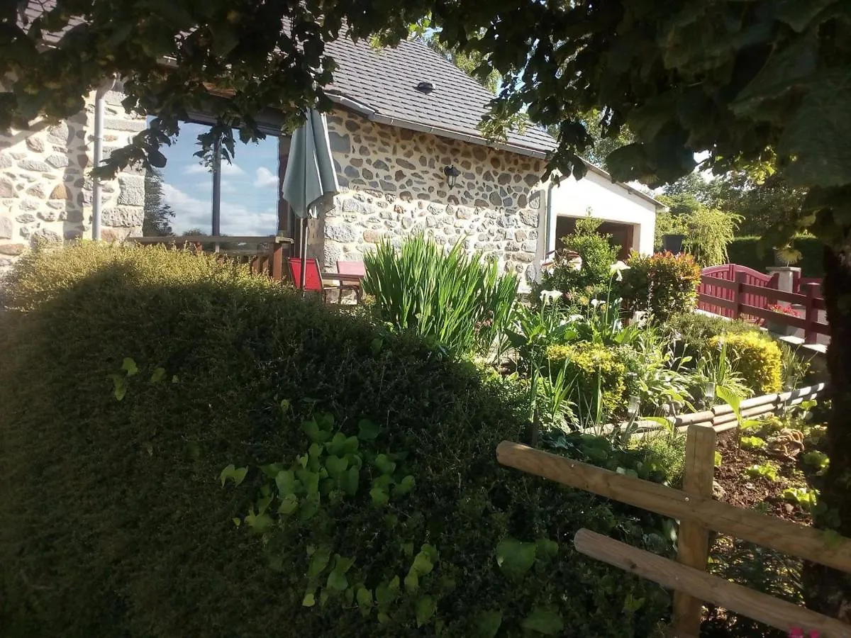 Gite Au Calme Avec Terrasse, Jardin, Cheminee, Proche De Salers Et Piste De Ski - Fr-1-742-41 Anglards-de-Salers