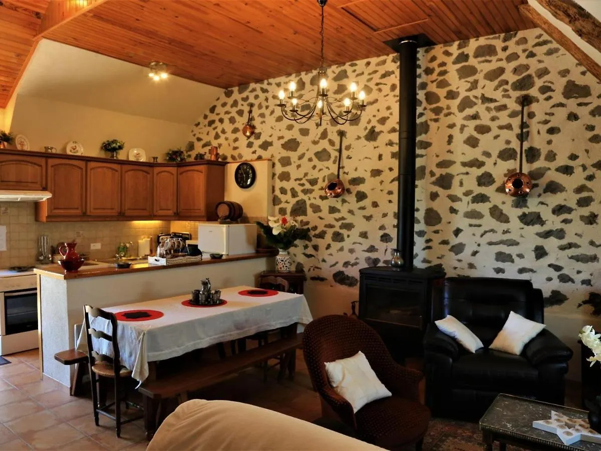 Gite Au Calme Avec Terrasse, Jardin, Cheminee, Proche De Salers Et Piste De Ski - Fr-1-742-41 Anglards-de-Salers Holiday home